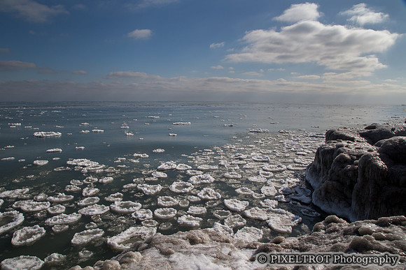 Winter at Rattray Marsh