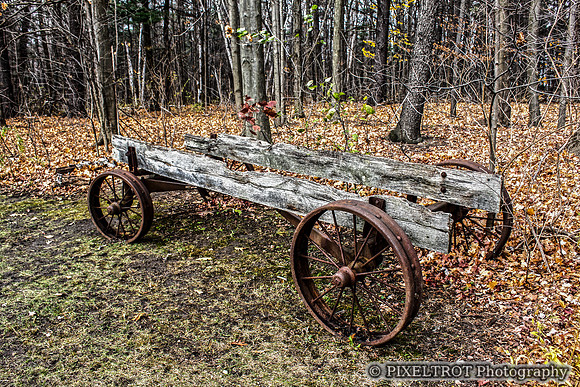 Riverwood Conservation Park, Mississauga, ON