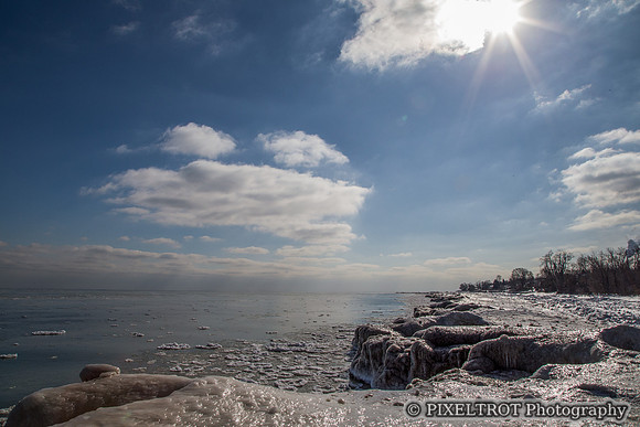 Winter at Rattray Marsh