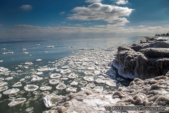 Winter at Rattray Marsh
